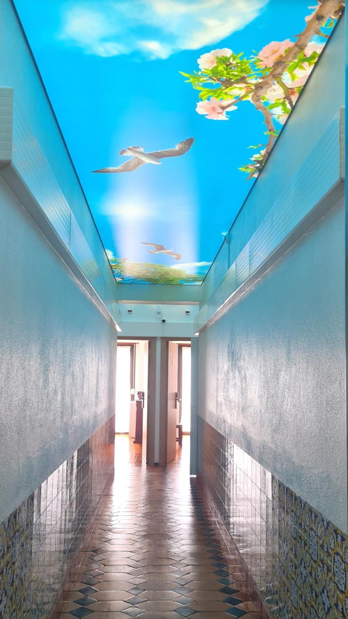 Solar Dos Carvalhos - Apartamentos De Turismo Nazaré Exterior photo